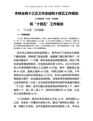 市林业局十三五工作总结和十四五工作规划.docx