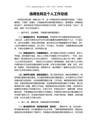 选调生转正个人工作总结.docx