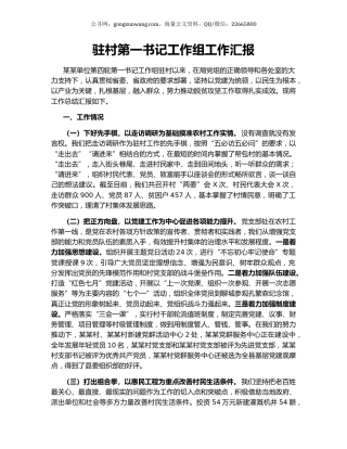 驻村第一书记工作组工作汇报.docx