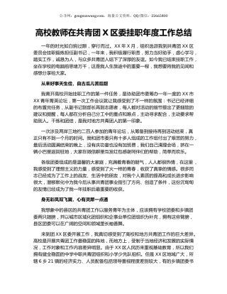 高校教师在共青团X区委挂职年度工作总结.docx