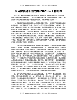 区自然资源和规划局2021年工作总结.docx
