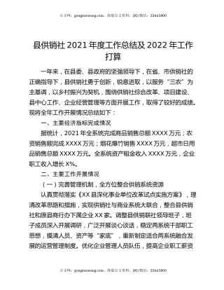 县供销社2021年度工作总结及2022年工作打算.docx