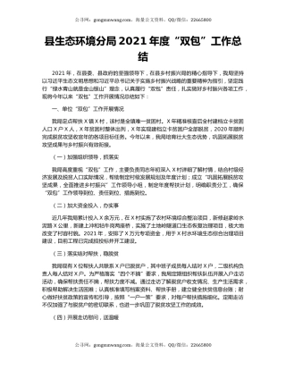 县生态环境分局2021年度“双包”工作总结.docx