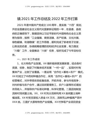 镇2021年工作总结及2022年工作打算（2）.docx