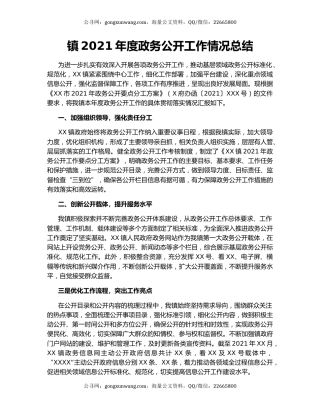 镇2021年度政务公开工作情况总结.docx