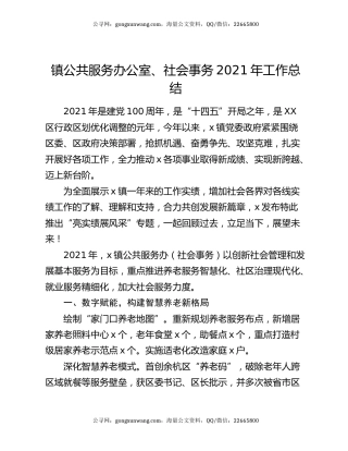 镇公共服务办公室、社会事务2021年工作总结.docx