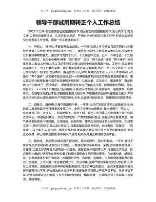 领导干部试用期转正个人工作总结.docx