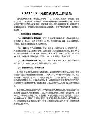 2021年X市自然资源局工作总结.docx