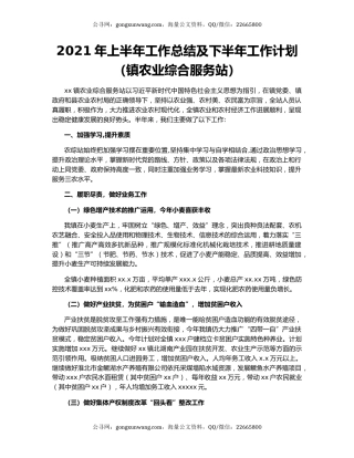 2021年上半年工作总结及下半年工作计划（镇农业综合服务站）.docx