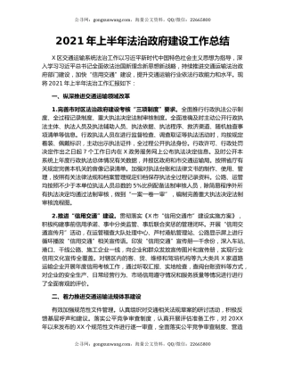 2021年上半年法治政府建设工作总结.docx