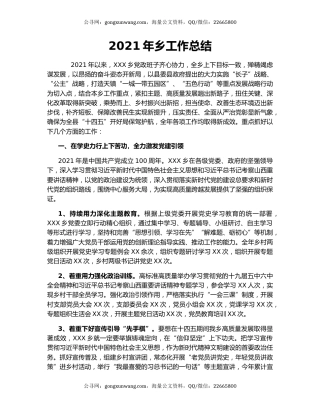 2021年乡工作总结.docx