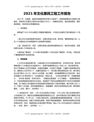2021年文化惠民工程工作报告.docx