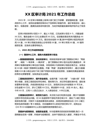 XX区审计局2021年工作总结.docx