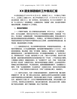 XX团支部团组织工作情况汇报.docx