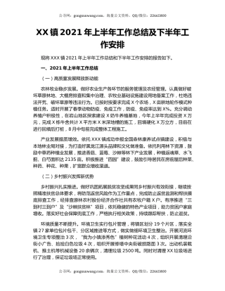 XX镇2021年上半年工作总结及下半年工作安排.docx