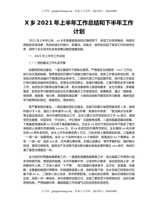 X乡2021年上半年工作总结和下半年工作计划.docx
