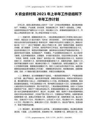 X农业农村局2021年上半年工作总结和下半年工作计划.docx