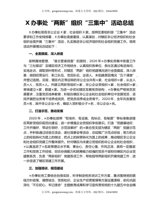 X办事处“两新”组织“三集中”活动总结.docx