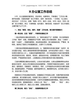 X办公室工作总结.docx