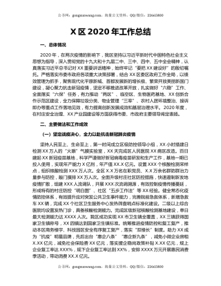 X区2020年工作总结.docx