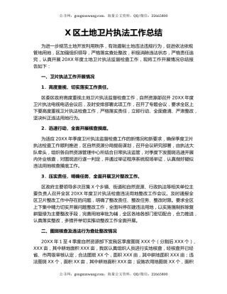 X区土地卫片执法工作总结.docx