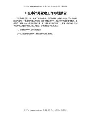 X区审计局党建工作专题报告.docx