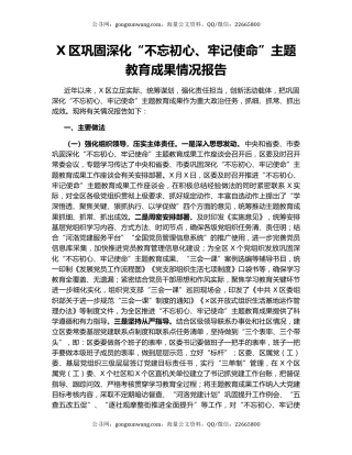 X区巩固深化“不忘初心、牢记使命”主题教育成果情况报告.docx