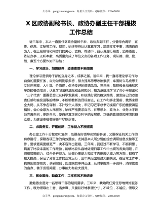 X区政协副秘书长、政协办副主任干部提拔工作总结.docx