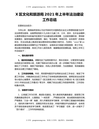 X区文化和旅游局2021年上半年法治建设工作总结.docx
