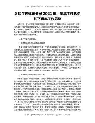 X区生态环境分局2021年上半年工作总结和下半年工作思路.docx