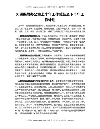 X医保局办公室上半年工作总结及下半年工作计划.docx