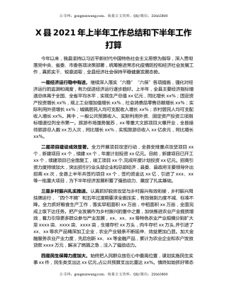 X县2021年上半年工作总结和下半年工作打算.docx