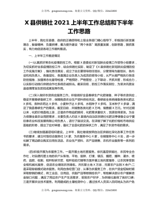 X县供销社2021上半年工作总结和下半年工作思路28302.docx