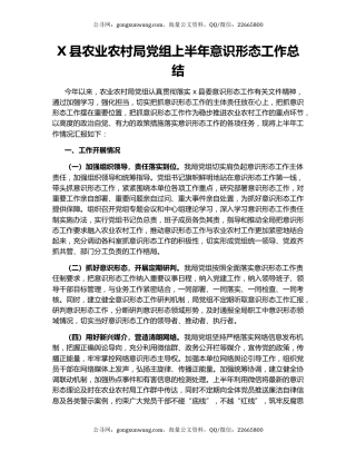 X县农业农村局党组上半年意识形态工作总结.docx