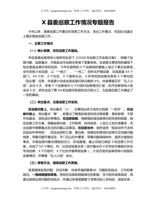 X县委巡察工作情况专题报告.docx