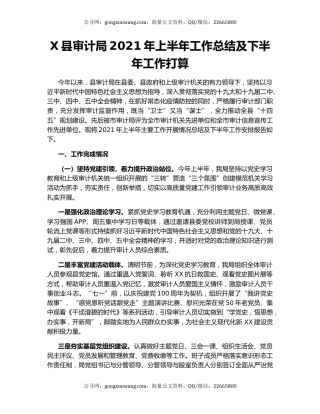 X县审计局2021年上半年工作总结及下半年工作打算.docx