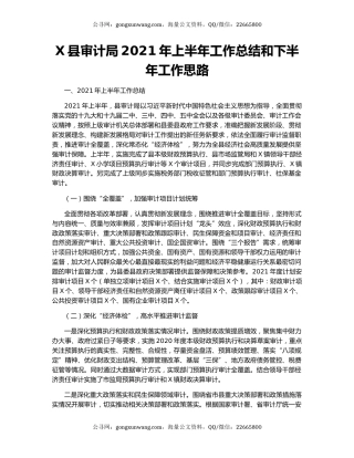 X县审计局2021年上半年工作总结和下半年工作思路.docx