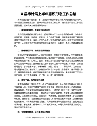 X县审计局上半年意识形态工作总结.docx