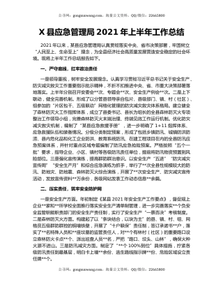 X县应急管理局2021年上半年工作总结29427.docx