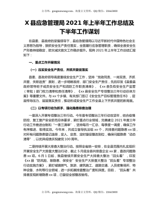 X县应急管理局2021年上半年工作总结及下半年工作谋划.docx
