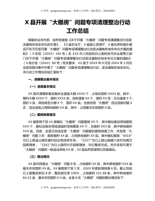 X县开展“大棚房”问题专项清理整治行动工作总结.docx