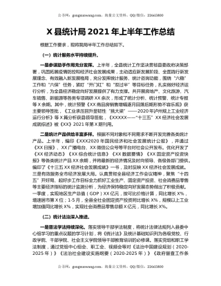 X县统计局2021年上半年工作总结.docx