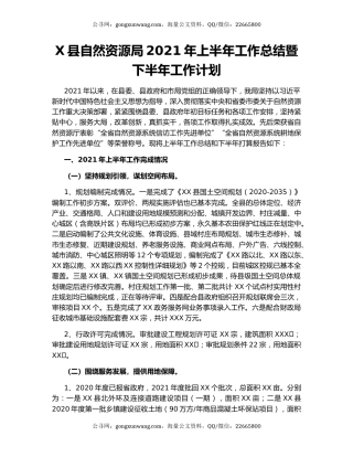 X县自然资源局2021年上半年工作总结暨下半年工作计划.docx