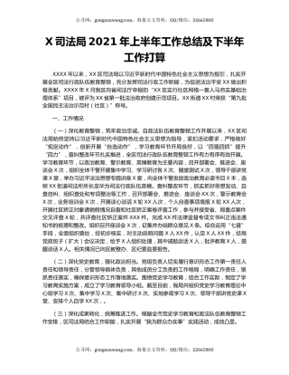 X司法局2021年上半年工作总结及下半年工作打算.docx
