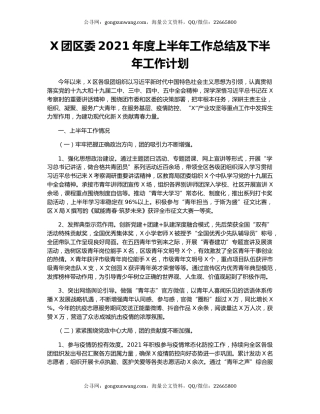 X团区委2021年度上半年工作总结及下半年工作计划.docx