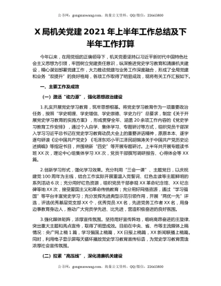 X局机关党建2021年上半年工作总结及下半年工作打算.docx