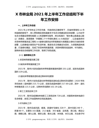 X市林业局2021年上半年工作总结和下半年工作安排.docx