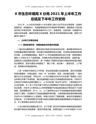 X市生态环境局X分局2021年上半年工作总结及下半年工作安排.docx