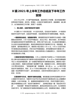 X镇2021年上半年工作总结及下半年工作安排.docx