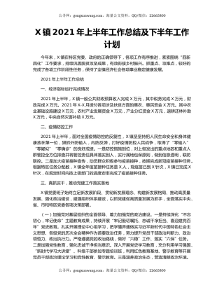 X镇2021年上半年工作总结及下半年工作计划.docx